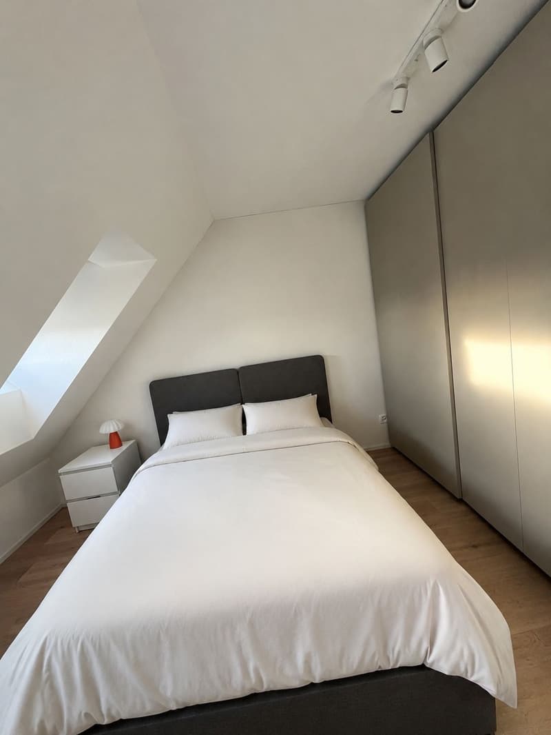 Helle 3.5-Zimmer-Wohnung mit Dachterrasse & Seeblick  Zürich Kreis 6 (5)