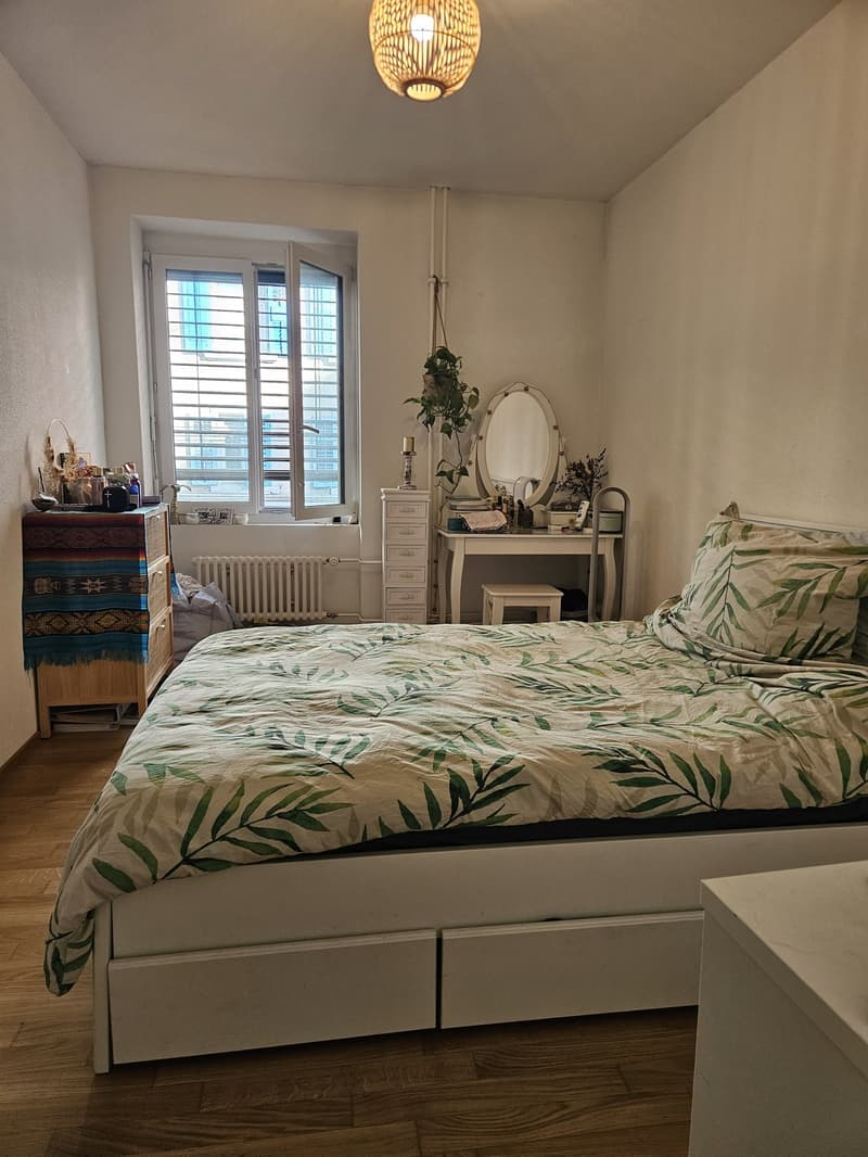 4.5 Room Apartment Central Zurich (7)