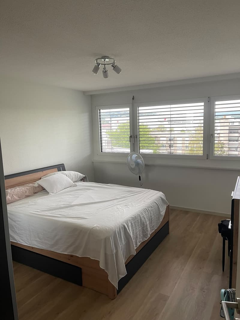 Furnished 3-room apartment in Zurich Altstetten 15 Dec to 15 Jan Jan (2)