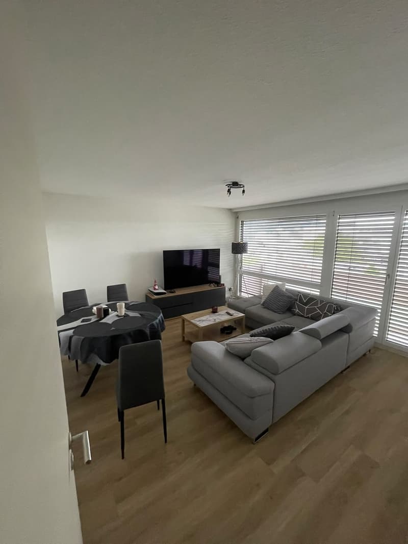 Furnished 3-room apartment in Zurich Altstetten 15 Dec to 15 Jan Jan (1)