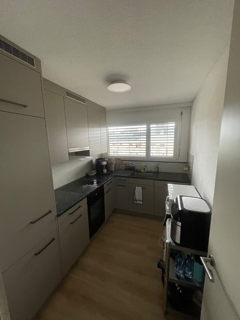 Furnished 3-room apartment in Zurich Altstetten 15 Dec to 15 Jan Jan (6)