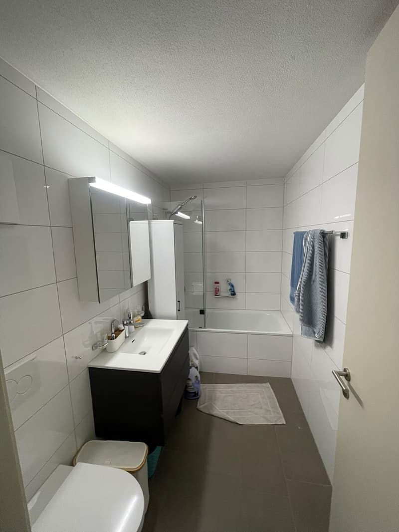 Furnished 3-room apartment in Zurich Altstetten 15 Dec to 15 Jan Jan (5)