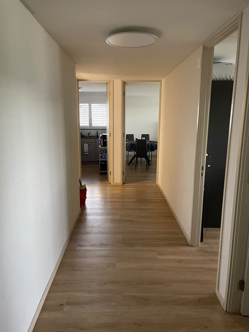 Furnished 3-room apartment in Zurich Altstetten 15 Dec to 15 Jan Jan (7)
