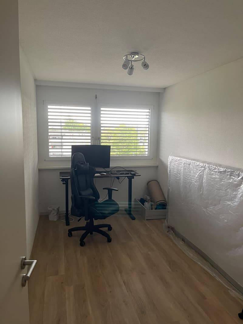Furnished 3-room apartment in Zurich Altstetten 15 Dec to 15 Jan Jan (4)