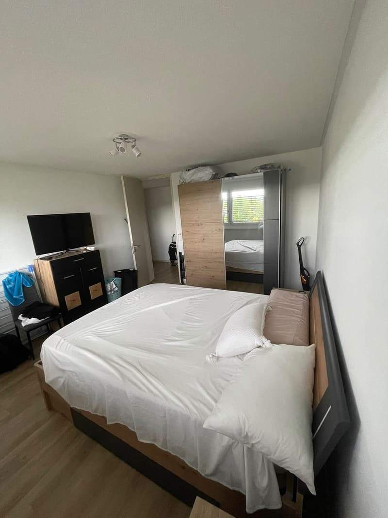 Furnished 3-room apartment in Zurich Altstetten 15 Dec to 15 Jan Jan (3)