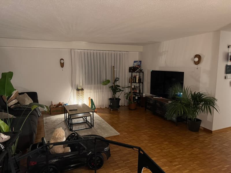 4 ½ Zimmer-Wohnung, 7304 Maienfeld (6)