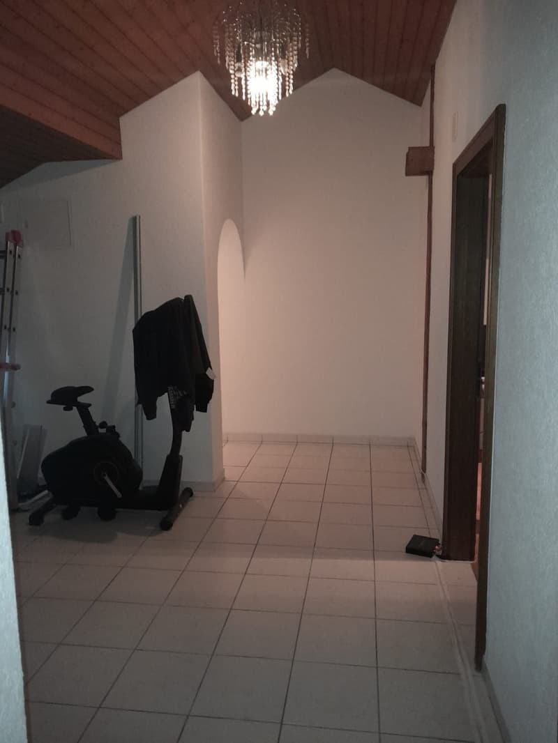 Untermieter (48, CH, junggeblieben) sucht Hauptmieter (6)