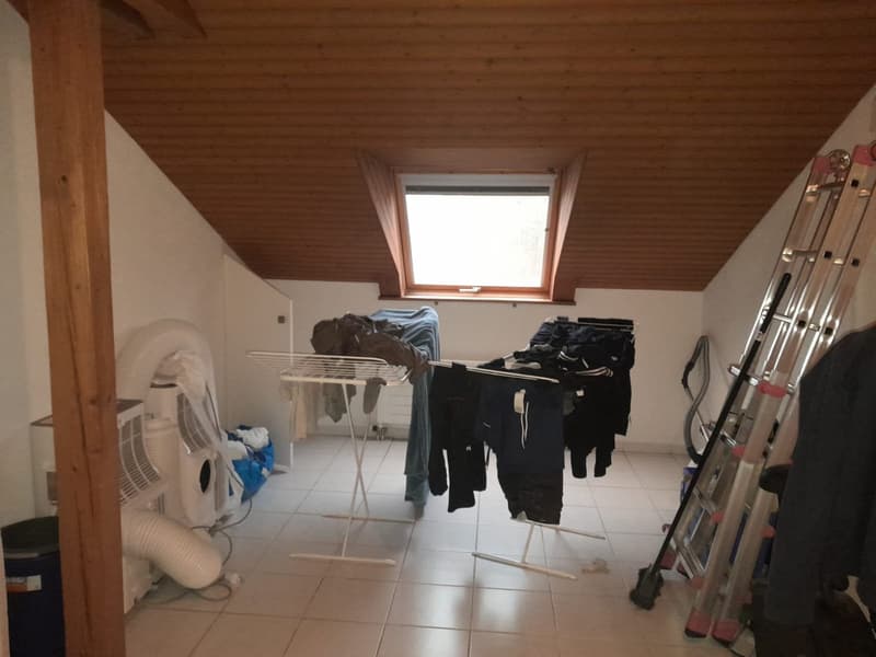 Untermieter (48, CH, junggeblieben) sucht Hauptmieter (10)