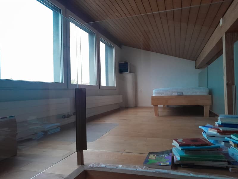 Untermieter (48, CH, junggeblieben) sucht Hauptmieter (5)