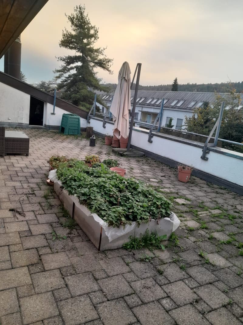 Untermieter (48, CH, junggeblieben) sucht Hauptmieter (11)