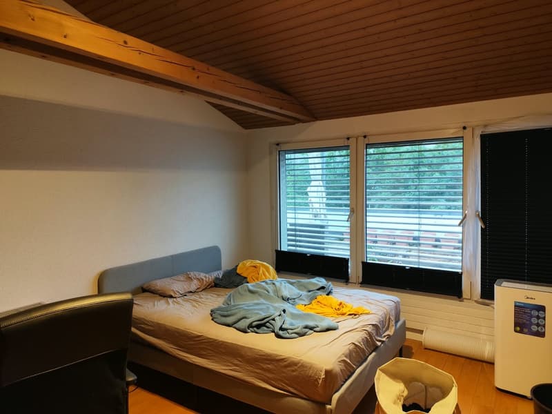 Untermieter (48, CH, junggeblieben) sucht Hauptmieter (2)