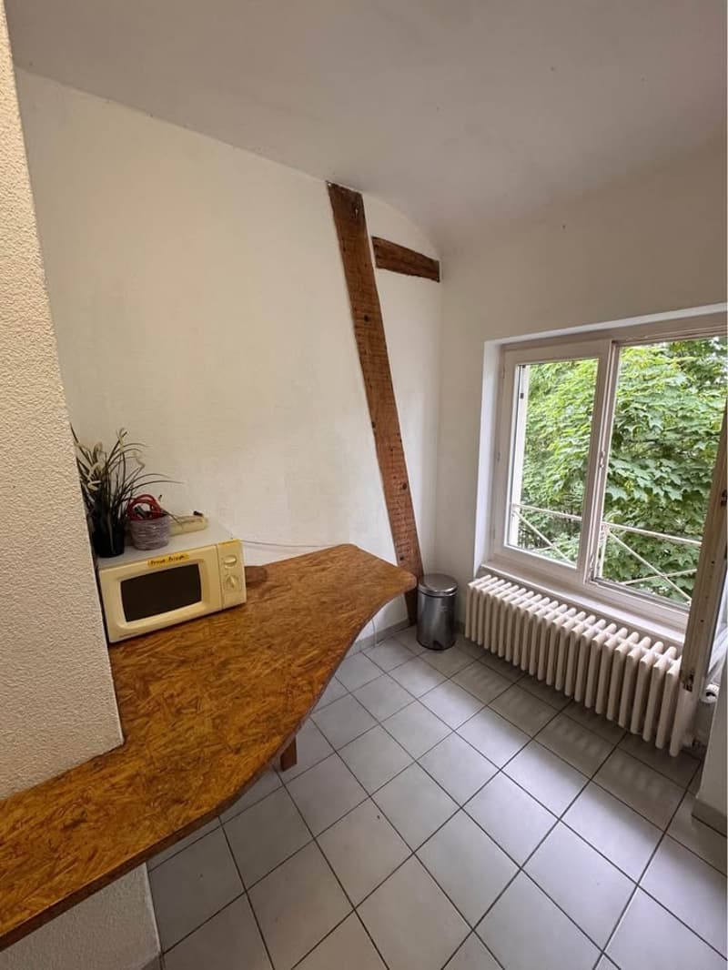 Room in a shared flat, 4057 Basel (8)