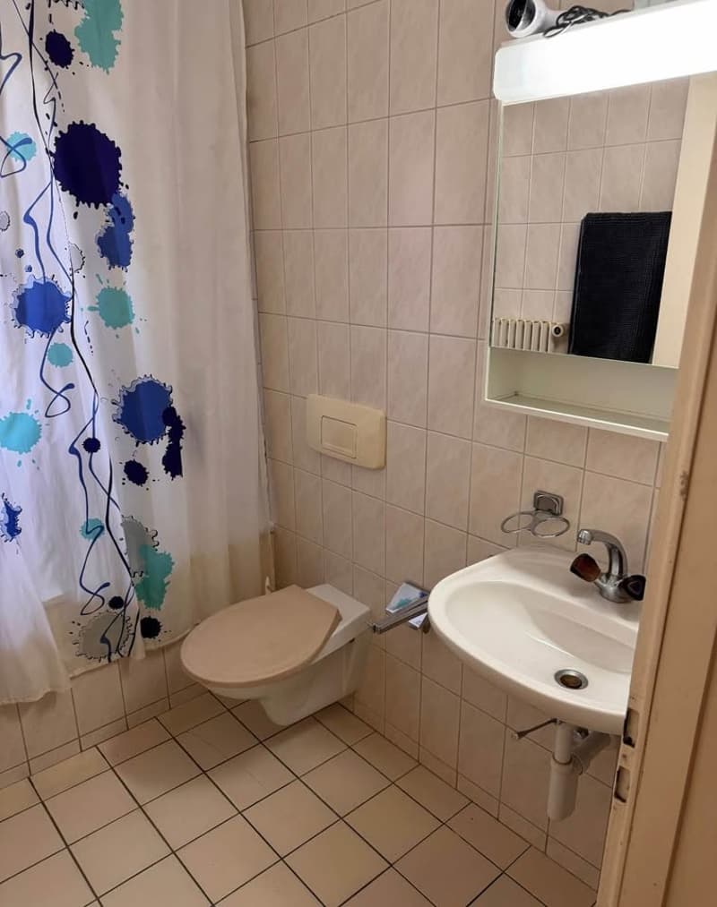 Room in a shared flat, 4057 Basel (5)