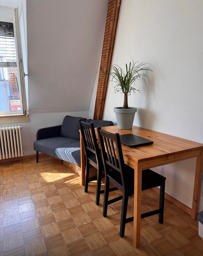 Room in a shared flat, 4057 Basel (7)