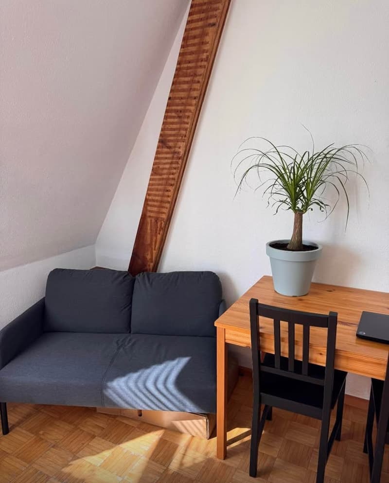 Room in a shared flat, 4057 Basel (4)