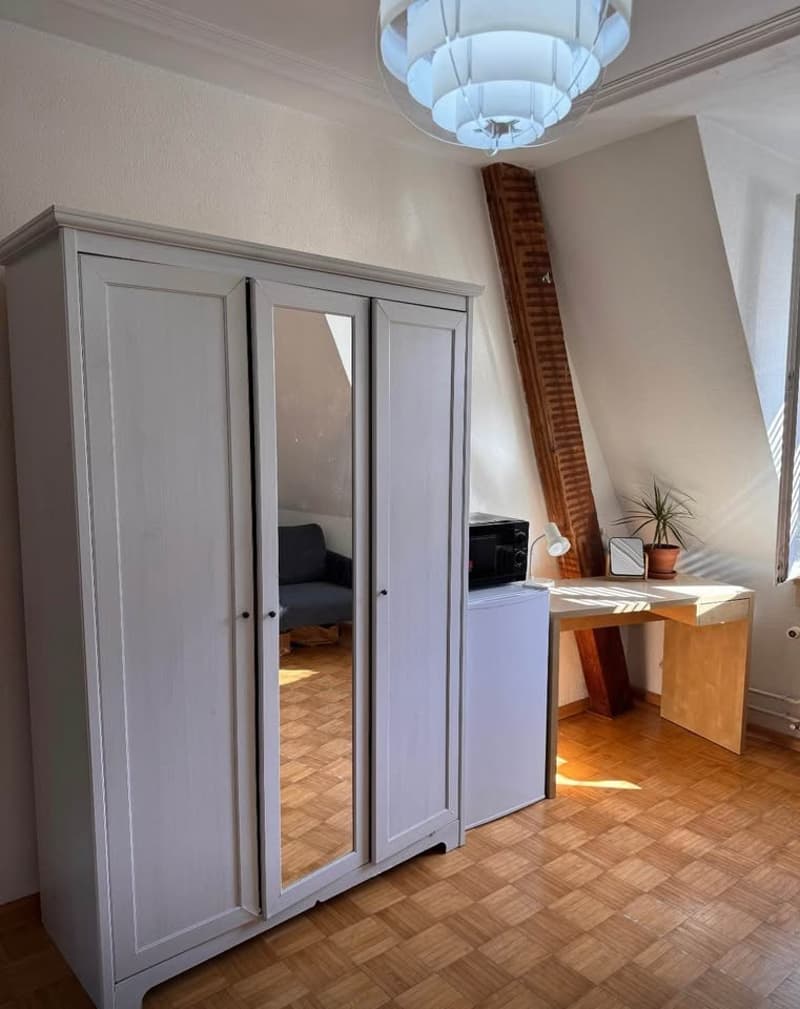 Room in a shared flat, 4057 Basel (3)