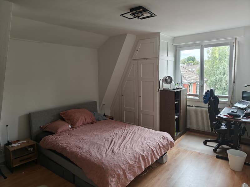 2.5 Zimmer Wohnung Near Enge (3)