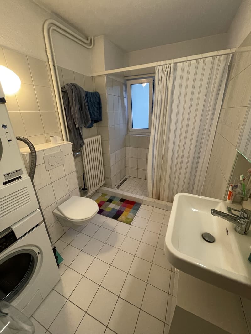 Möbliertes 14m² WG-Zimmer mit Balkon & Riesenterrasse in Neuaffoltern (6)