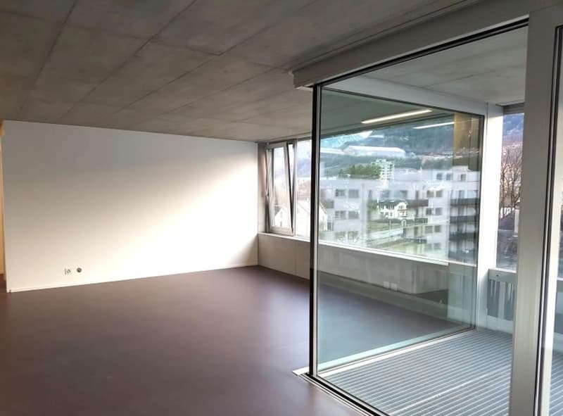 Appartement 3,5 pièces Monthey (1)