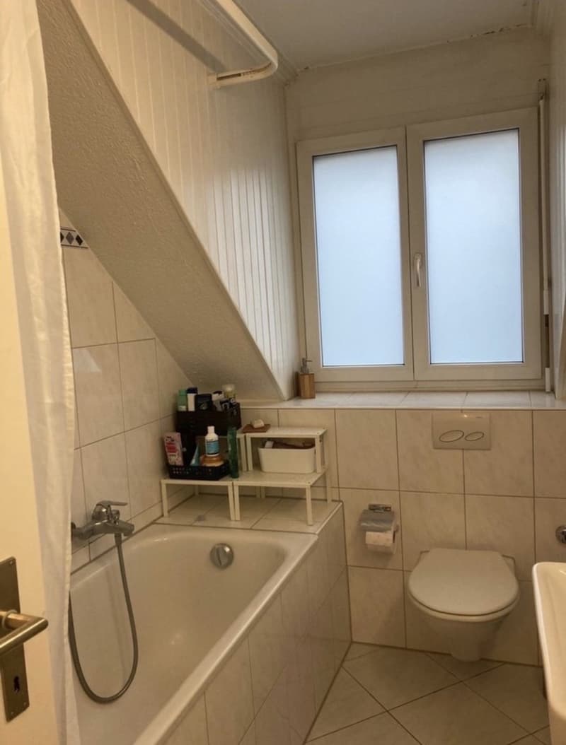 Bright room in Wollishofen  looking for a new flatmate (4)