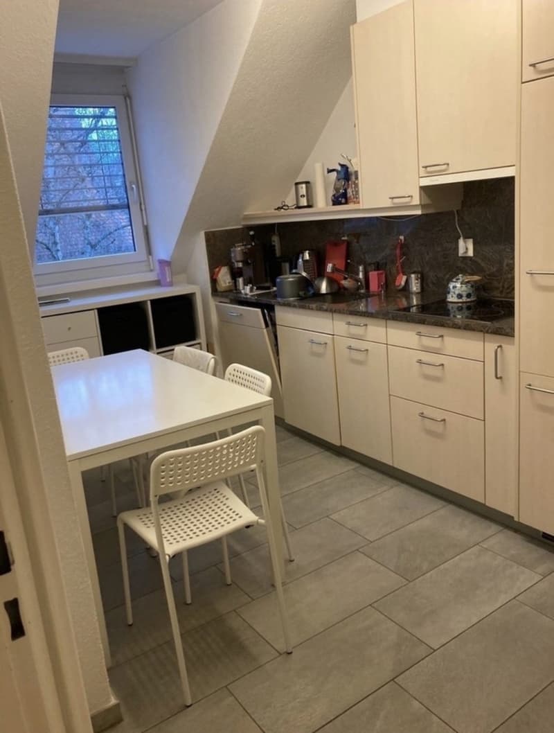 Bright room in Wollishofen  looking for a new flatmate (3)