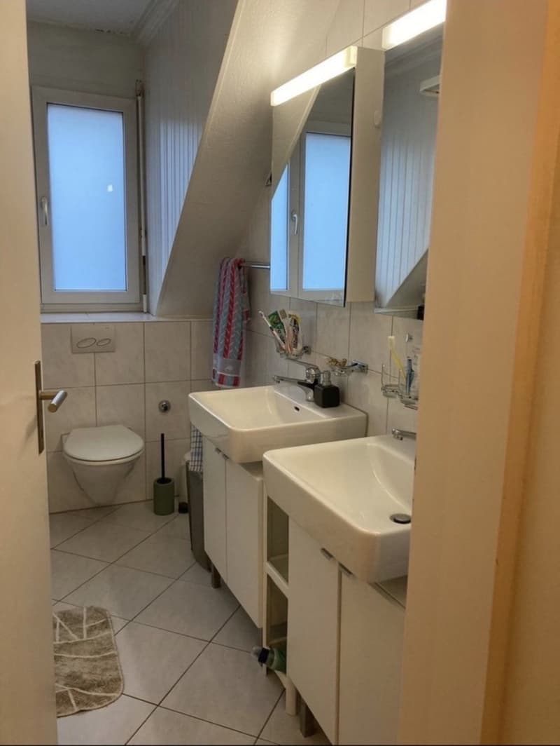 Bright room in Wollishofen  looking for a new flatmate (2)