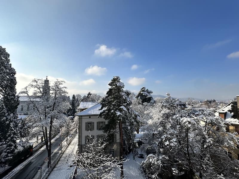 Furnished 2.5-Room Apartment with Views  Short-Term Rental (4)