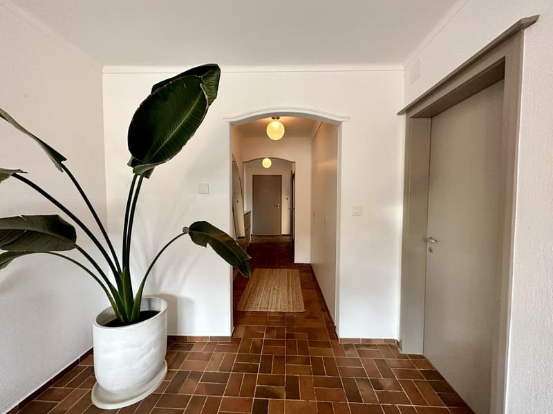 Furnished 2.5-Room Apartment with Views  Short-Term Rental (8)