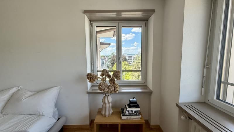Furnished 2.5-Room Apartment with Views  Short-Term Rental (12)