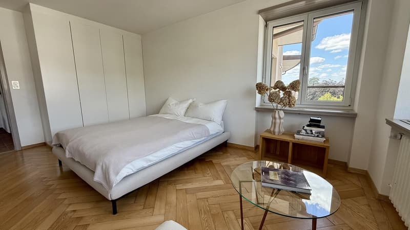 Furnished 2.5-Room Apartment with Views  Short-Term Rental (10)