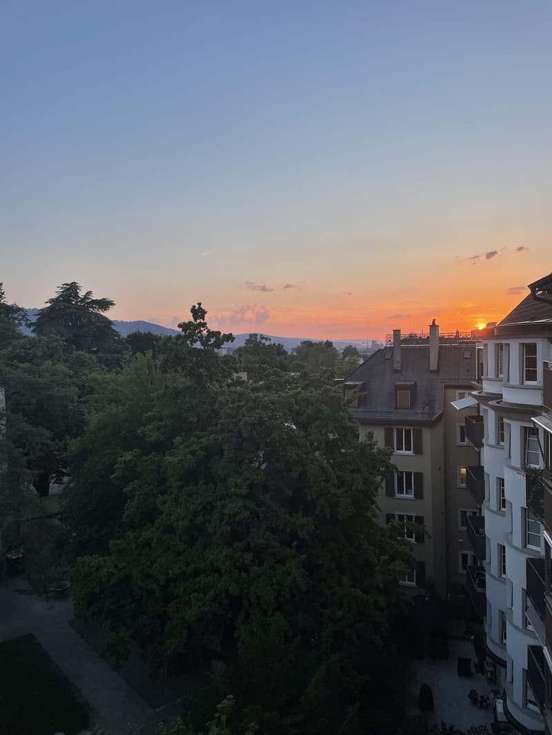 Furnished 2.5-Room Apartment with Views  Short-Term Rental (3)