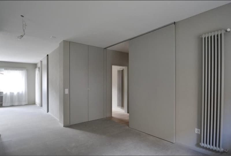 Spazioso 4,5 a Monte carasso (3)