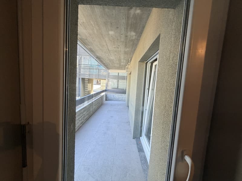 Spazioso 4,5 a Monte carasso (12)