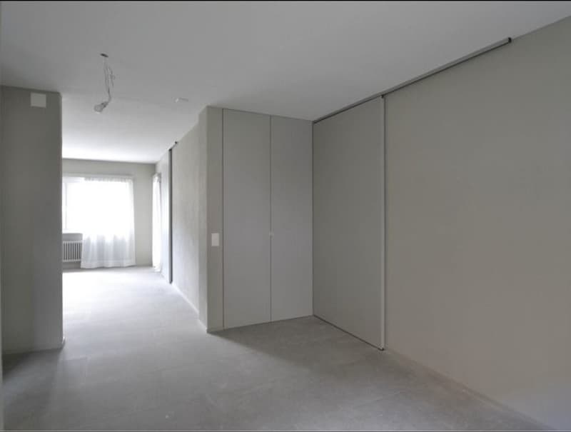 Spazioso 4,5 a Monte carasso (5)