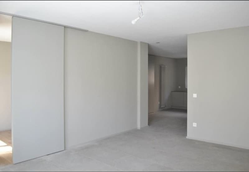 Spazioso 4,5 a Monte carasso (4)
