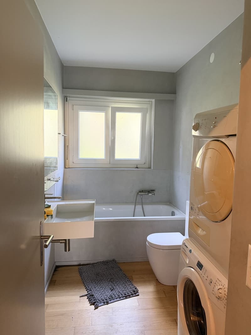 Spazioso 4,5 a Monte carasso (13)