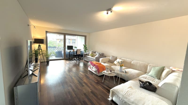 Room in a 4.5 shared apartment (7)