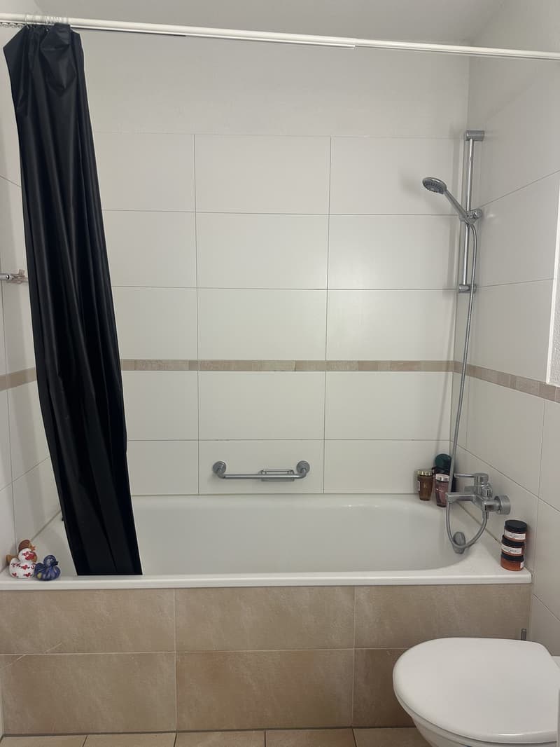 Room in a shared flat (4)