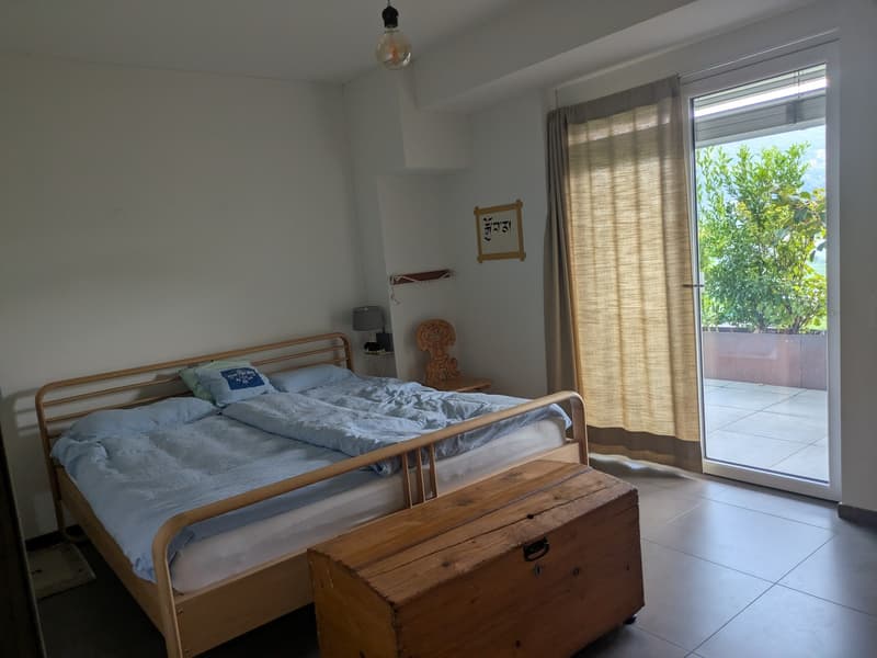Appartamento con grande terrazza-giardino  primo mese gratuito (3)