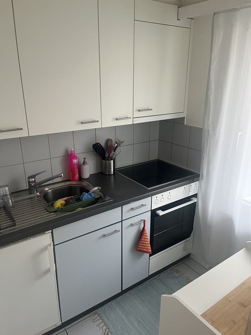 Möblierte 1 Zimmer Wohnung bis Mitte Mai 2027 (4)
