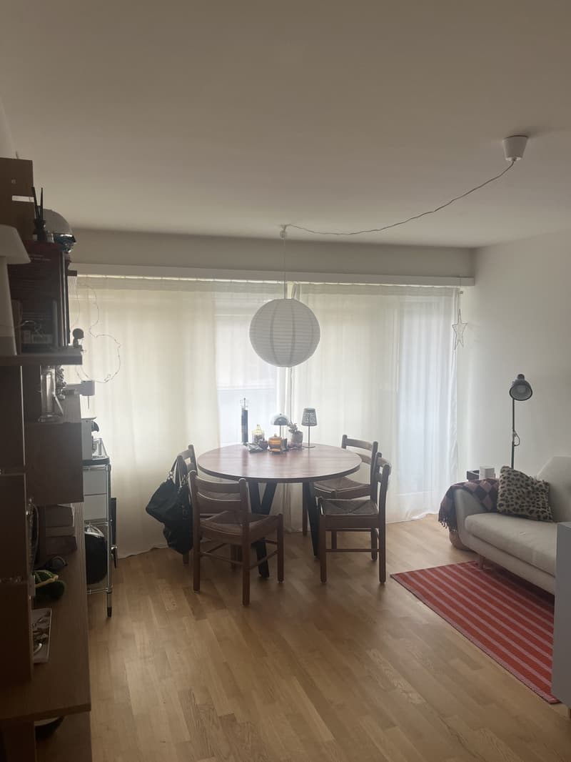 Möblierte 1 Zimmer Wohnung bis Mitte Mai 2027 (1)