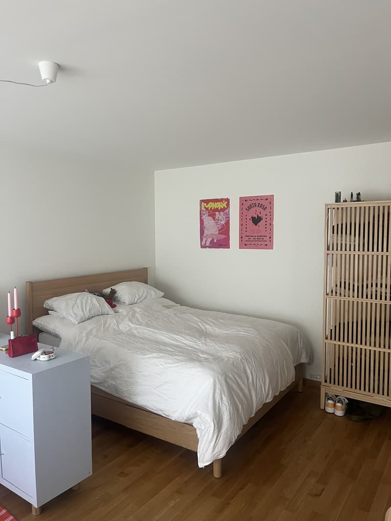 Möblierte 1 Zimmer Wohnung bis Mitte Mai 2027 (2)