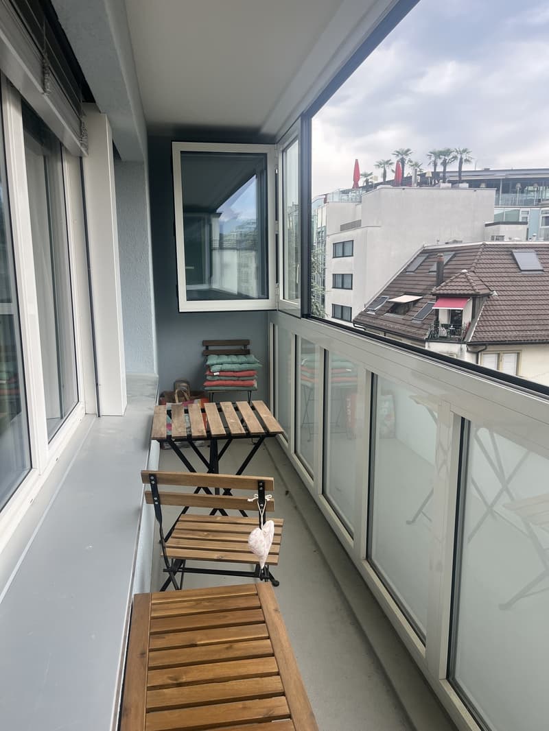 Möblierte 1 Zimmer Wohnung bis Mitte Mai 2027 (3)