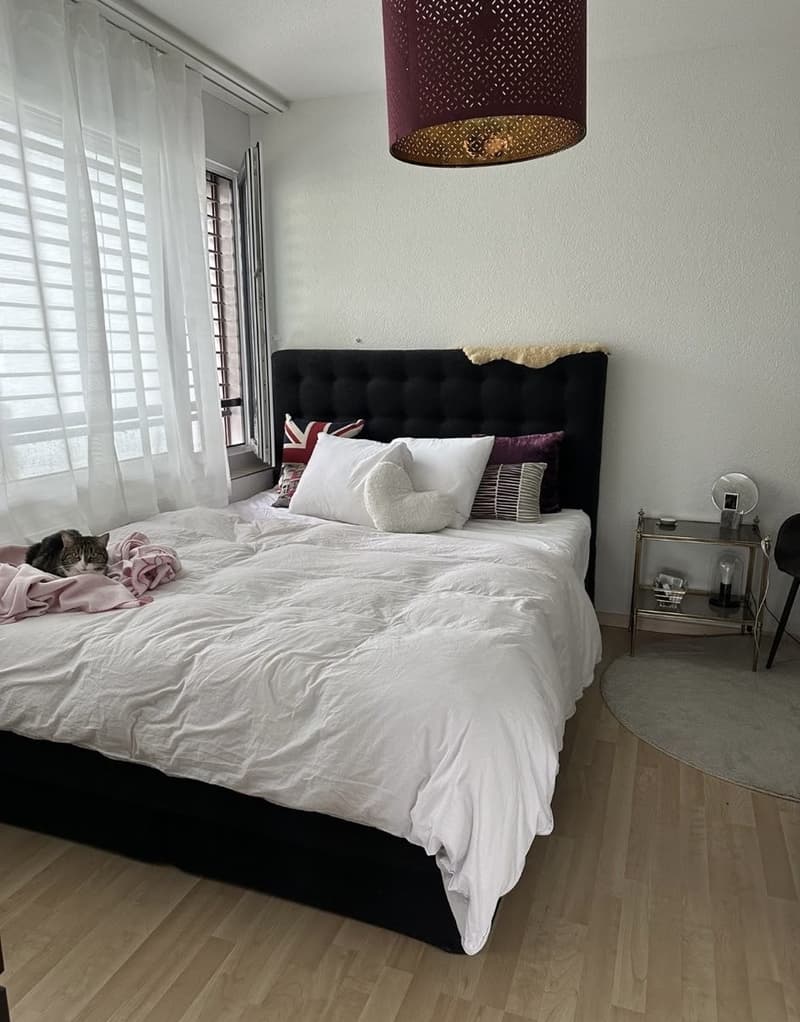 Helle 3.5 Zimmerwohnung in Zürich Seebach (6)