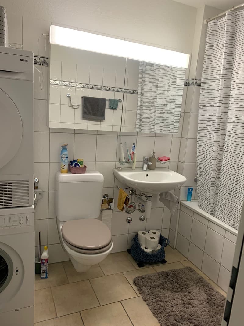 Helle 3.5 Zimmerwohnung in Zürich Seebach (9)
