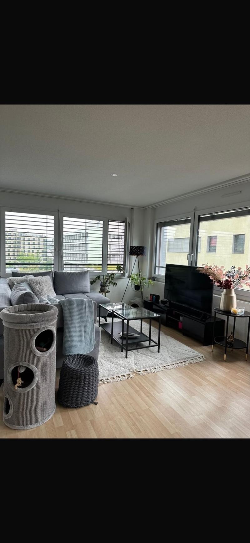 Helle 3.5 Zimmerwohnung in Zürich Seebach (7)