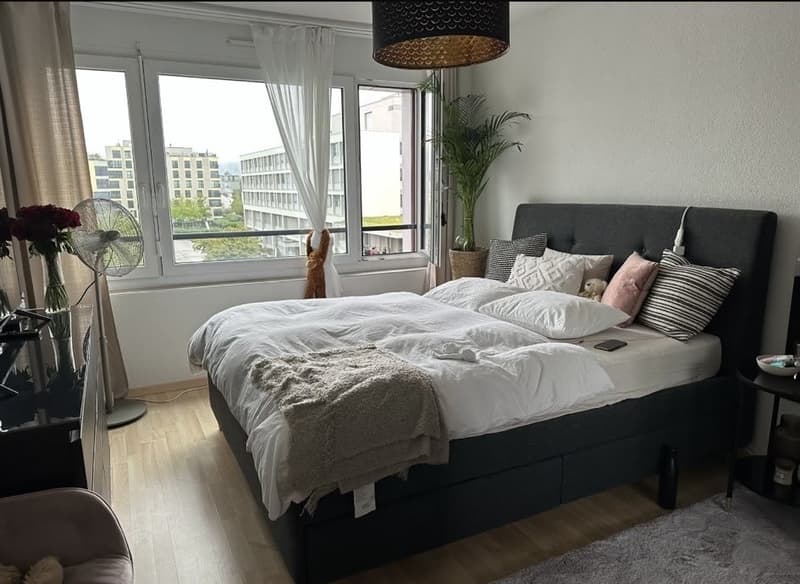 Helle 3.5 Zimmerwohnung in Zürich Seebach (3)