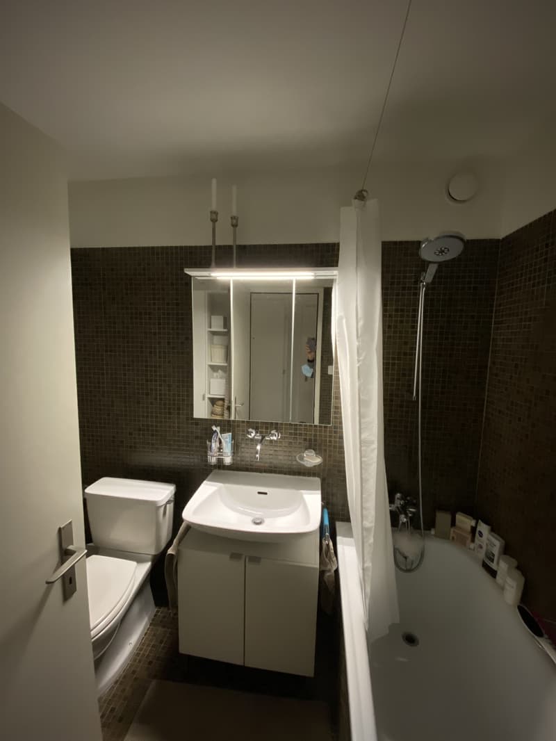 Teilmöbliertes 1.5 Studio direkt am Hottingerplatz (6)