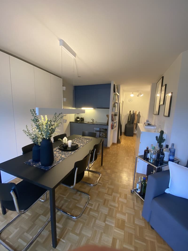 Teilmöbliertes 1.5 Studio direkt am Hottingerplatz (3)