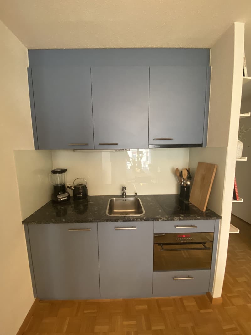Teilmöbliertes 1.5 Studio direkt am Hottingerplatz (4)
